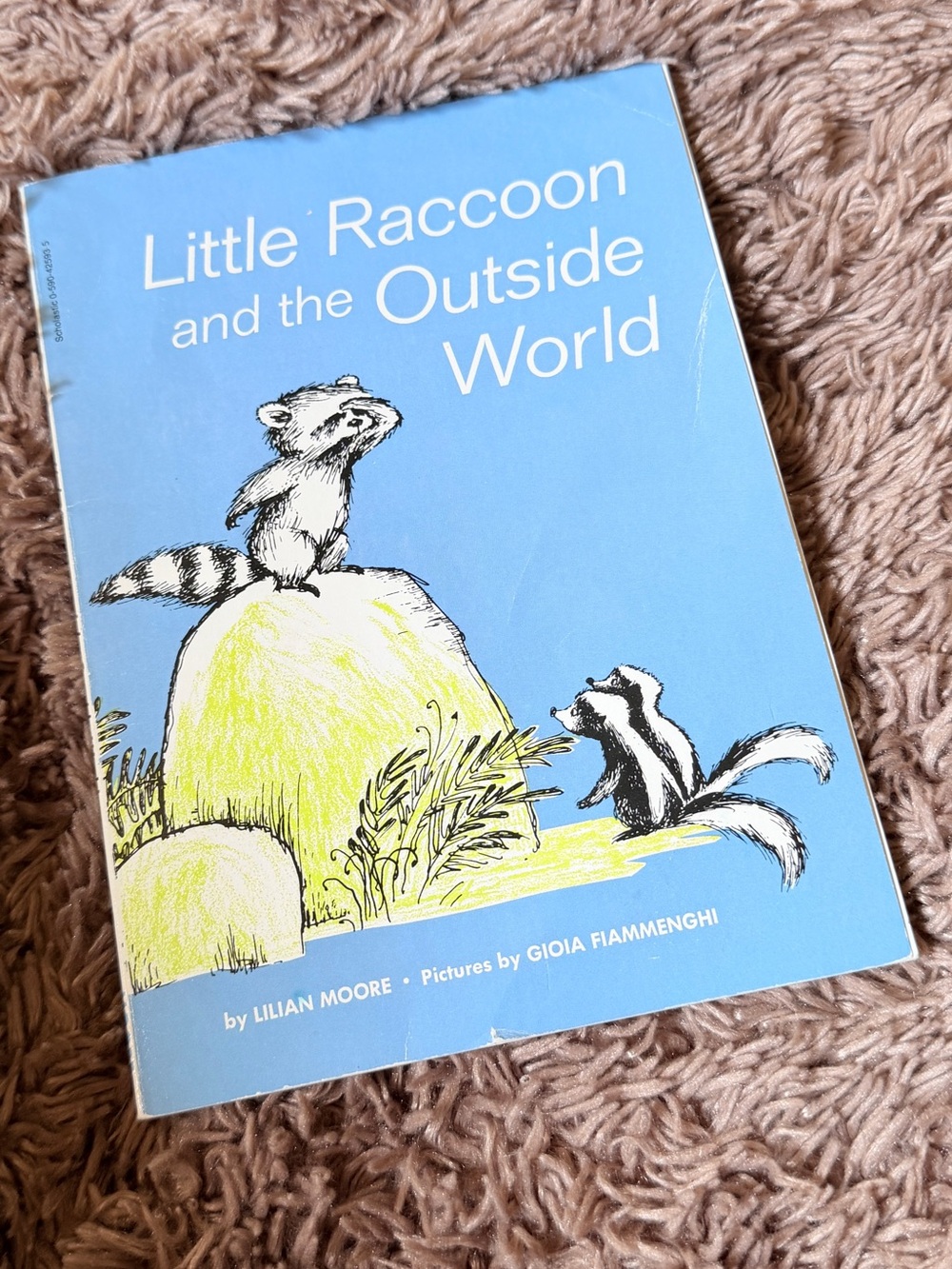 Vintage illustrated kids book paperback Little Raccoon and the outside world